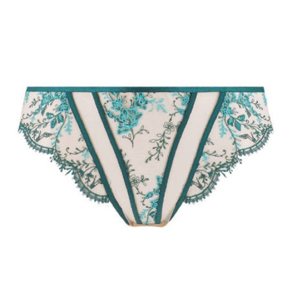 NWT DVT Femmoiselle Brief - Picture 4 of 5